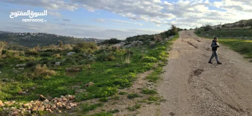  1 دونم ارض طابوا فلسطيني منطقة (B)بالقرب من دوار كفرصور جميع الخدمات فيها عليها شارع 12متر موقع مميز