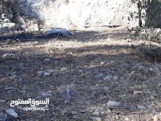  3 ارض للبيع تحت جسر اسكاكا حوض السهل
