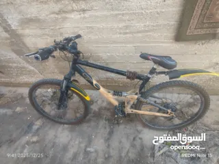  3 بسكاليت للبيع