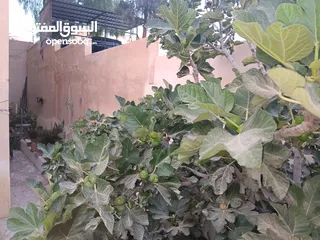  5 شقة بجبل طارق قرب دوار البقيع بسعر مغري