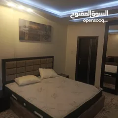  20 شقة فخمة مفروشة للايجار مع حديقة