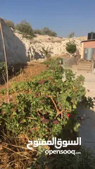  7 أرض بسعر مغري