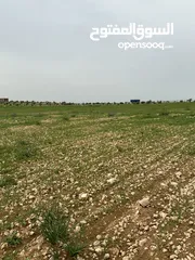  10 ارض مفروزه للبيع لكامل القطعه