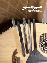  1 ريش قرن الغزال عود جديده