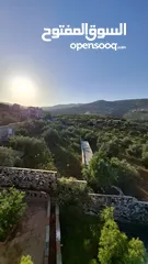  26 مزرعة وشاليه في جرش