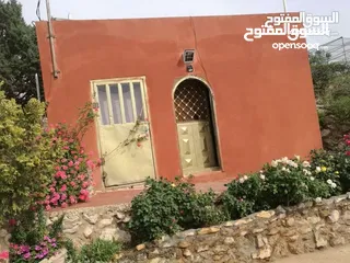  2 مزرعة للبيع تل الرمان _ شمال عمان