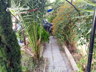  8 شقة ارضية للبيع