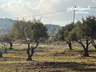  3 اجمل قطعة ارض للبيع في جرش أم قنطره حوض المحمر ثنين دنم مقابل مطعم ريف المزرعه