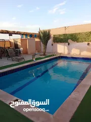  25 شاليه للايجار منطقه مطله جبل الروضه مطل ع البحر الميت وجبال فلسطين مسبح مغطى من اشعه الشمس