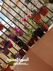  4 شقة للبيع ماركا الجنوبية نادي السباق طابق اول 120 متر