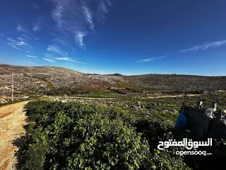  1 نمرة أرض للبيع او البدل ع سيارة بمنطقة روجيب مساحتها 600متر  واصلها خدمات  طابو نابلس