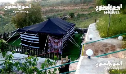  18 خيم شعر تراثيه  حجم 8م×4م يوجد أحجام أخرى حسب الطلب  الخيم جديده ولا يوجد  مستعمله