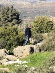  1 ارض للبيع فل مزرعة الغربية