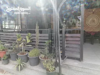  21 مقهى للبيع في اربد