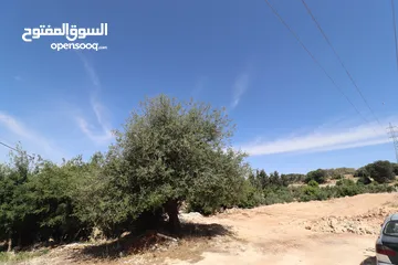 13 ارض للبيع في بدر الجديده 500م حوض الحديب باطلاله جميله تصلح لبناء فيلا فخمه بالقرب من دوار التعبئه