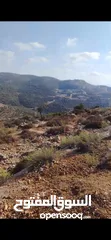  2 قطعة أرض مميزة بإطلالة خلابة في قرية عبوين – رام الله