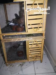  3 4 حمامات رومي وقصفين المكان فيصل