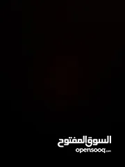 6 قنون حديد 14 عين جبل النصر