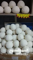 10 جميد بلدي جميد كركي سمنه بلدي جبنة غنم