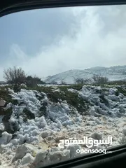  5 فرصة استثمارية! أرض زراعية مميزة بسعر مغري و بالقرب من أحراش الدولة للمزيد من المعلومات اقرأ الوصف
