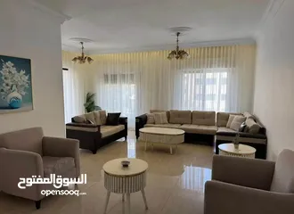  1 شقة مفروشة سوبر ديلوكس اعلان رقم (G193)