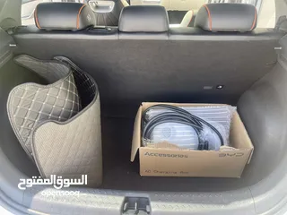  8 دولفن 2022 اقل سعر بالمملكه وانظف حبه