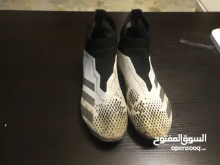  1 حذاء كرة قدم Adidas pretedor اصلي صناعة اندونيسيا اااااااااااأاااأاااااااااااااااااااااااااااااااااا