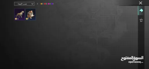  2 حساب ببجي جميل 4 سنين