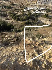  2 ارض واد الزرزير مطله وهادئه