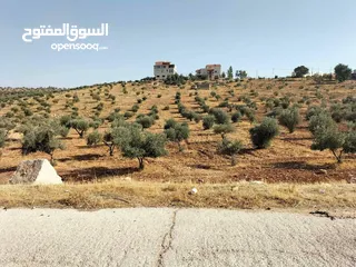  3 أرض للبيع على طريق إربد عمان منطقة بليله على شارع رئيسي