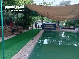  4 منتجع ومسابح ام ليمونه /عجلون / كفرنجة