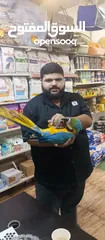  7 فرخ ببغاء مكاو بلو اند جولد مزرعه حجل ذهبي مفحوص فحوصات طبيه