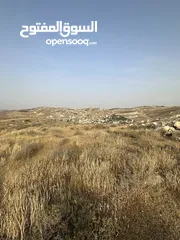  1 فُرصة العُمر لبناء منزل الأحلام ( منطقة بيرين حوض الحبل ) الإطلالة الأجمل في بيرين منطقة (قصور وفلل)