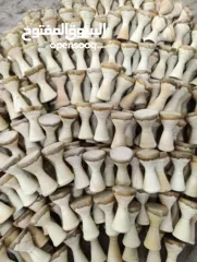  3 مجموعة متنوعة من الالات الموسيقية من الجلد الطبيعي وشغل يدوي 100%