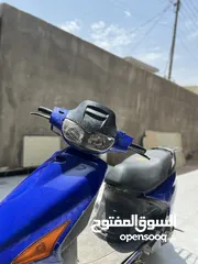  1 فراشه فحل نضيفه للبيع