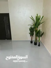  1 شقة للاستثمار او السكن الفوري
