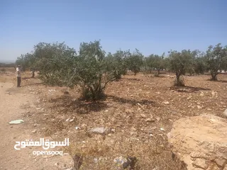  3 قطعة ارض 887 متر  في ابان