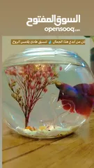  10 "جديد روح تنسيق أنيق لحوض الفايتر مع ناعورة وأحجار زينة طبيعية"
