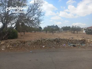  5 أرض مساحة 7 دونم في وسط دير غسانة وعلى ثلاثة شوارع