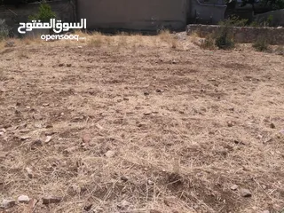  2 ارض للبيع في عجلون (صخرة)