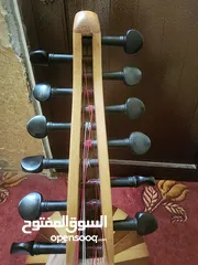  6 عود بحريني للبيع