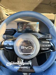  5 BYD سيجال 2024