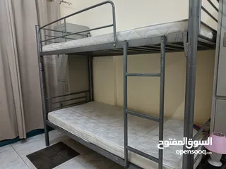  11 Executive Bed space Near Border in Al Nahda