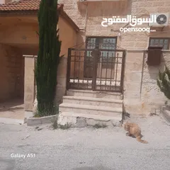  20 شقة للبيع شبه ارضي بأجمل مناطق ضاحية الرشيد