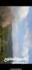  6 ارض مميزة للبيع