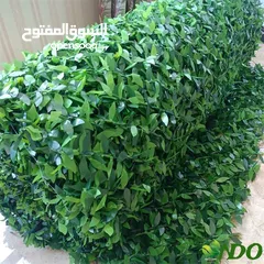  6 عشب صناعي نخب اول متعدد الاستخدامات يصلح للحدائق والحفلات وغيره