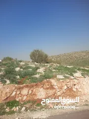  4 مزرعه للبيع في بيرين بالقرب من شفا بدران مساحه 3500 م قوشان مستقل على 3 شوارع  