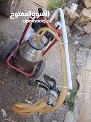  3 حلابة ابقار نضيفه جدا ولا غلطه
