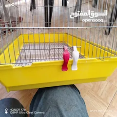  5 مطير 7معالف سوري كما هوا مكتوب عليها للبيع الزرقاء الجديده البتراوي بقرب من فندق الجوابره او دوار جي