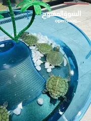  7 عروض نار سلاحف النينجا (ninja turtle)